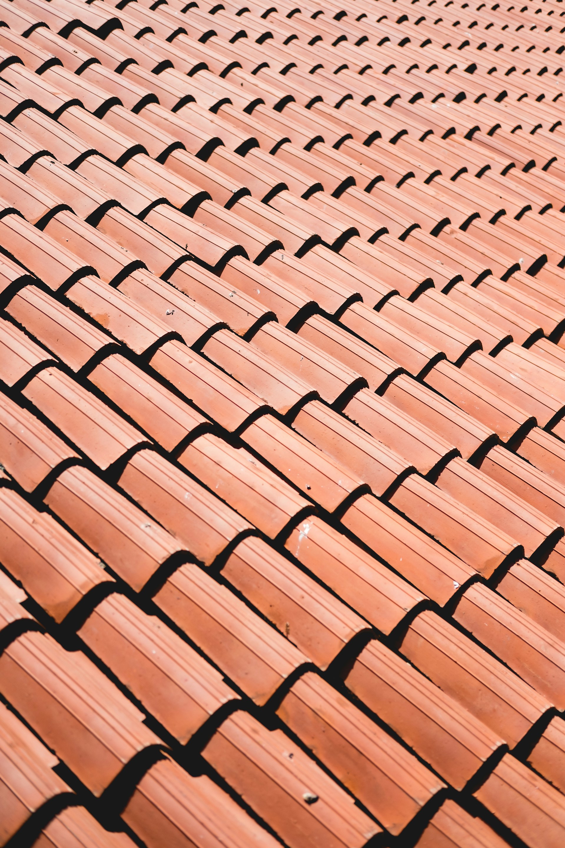 Common Signs Your Auckland Property Needs Reroofing: When to Take Action
