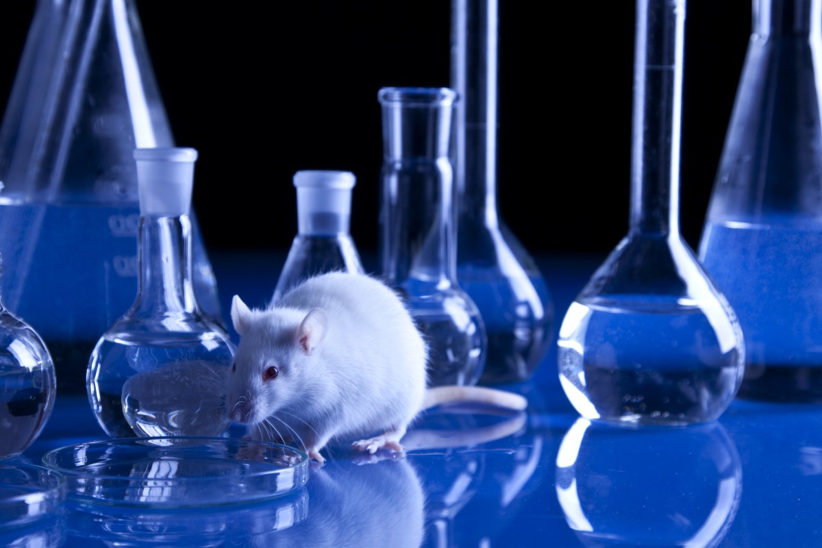 The Future of Animal Health: Trends and Growth in the Global Animal Biotechnology Market