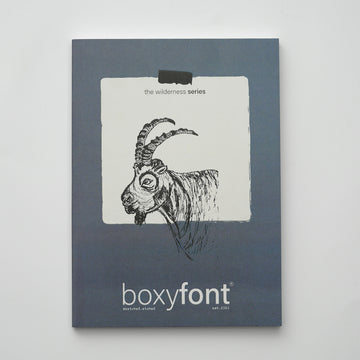 Exploring the World of Unique Notebooks and Journals