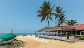 Exploring the Tranquil Beaches of South Goa
