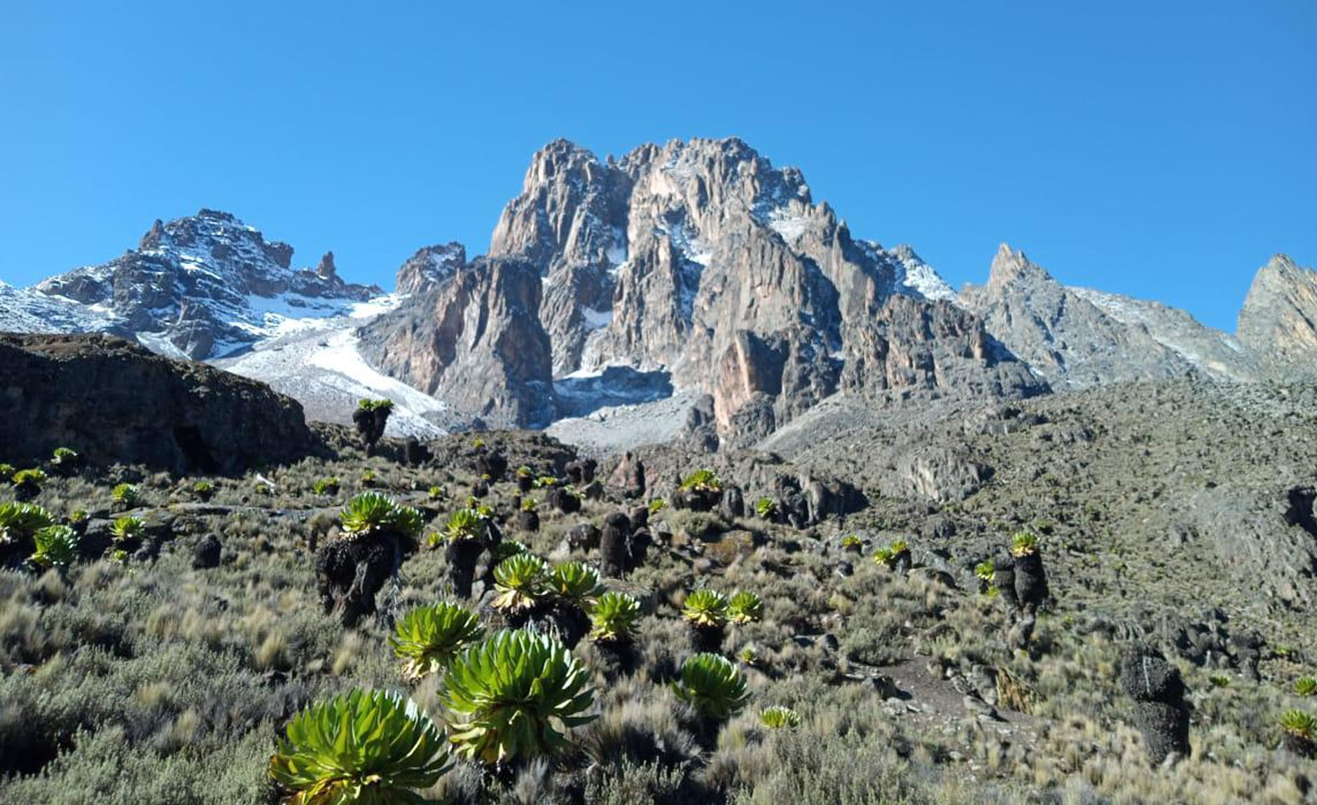Discover Kenya's Natural Wonders with Go Mount Kenya Expendation: Premier Hiking Travel Agency