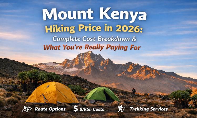 Mount Kenya Trekking Cost 2026: Price Breakdown & Packages