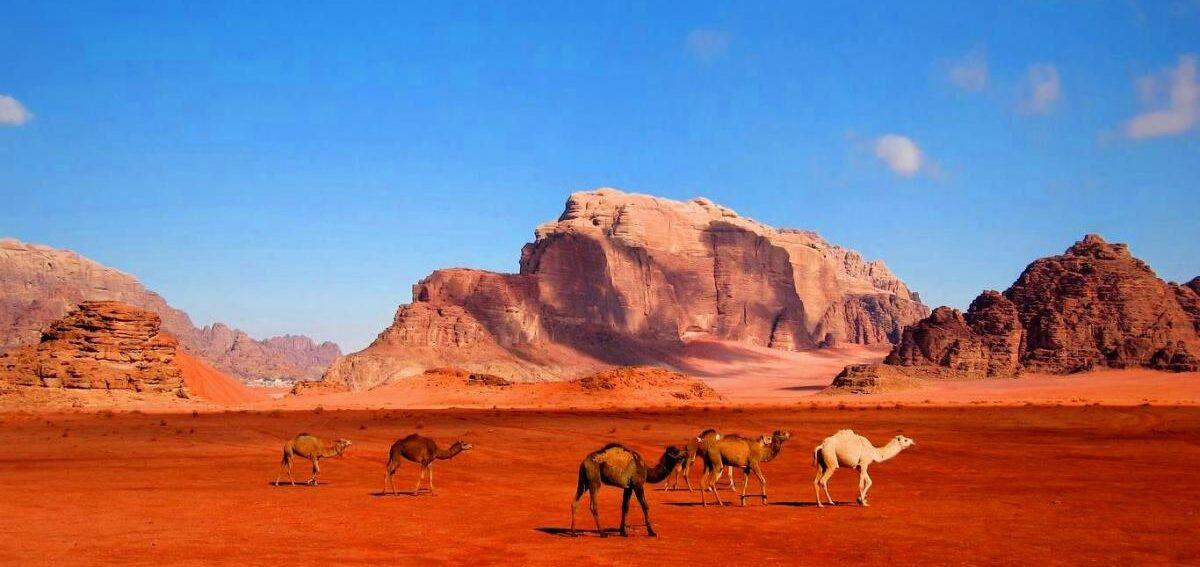 Embarking on Your Jordan Adventure: Crafting the Perfect Tour Package!