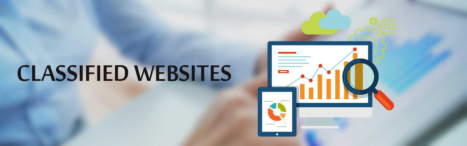 Launch your own customized Classified Script