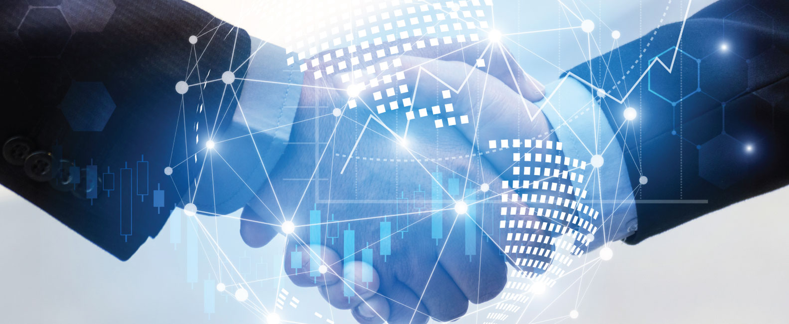 Best Business Consultants in India: Praxis Global Alliance