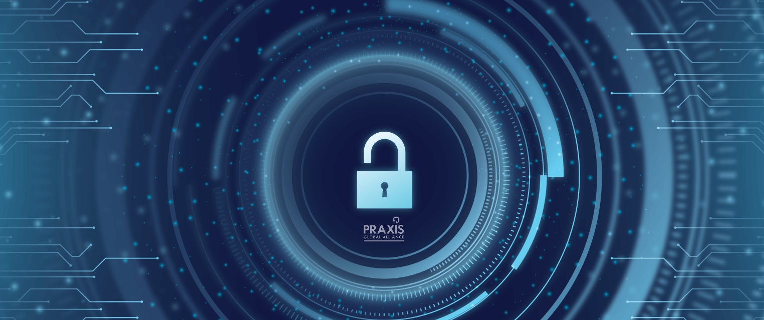 Consulting Services for Business: Praxis Reports & Publications