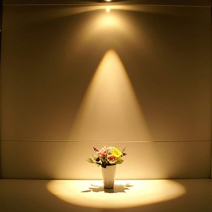 Save Money and Energy with Free Down Light Replacement, Hot Water Rebate, and VEU Rebate