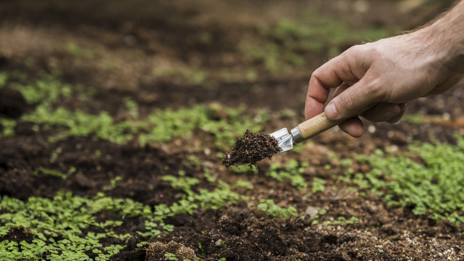 Agriculture Soil Sampling and Testing Market: Thriving Research Methodology by  BIS Research