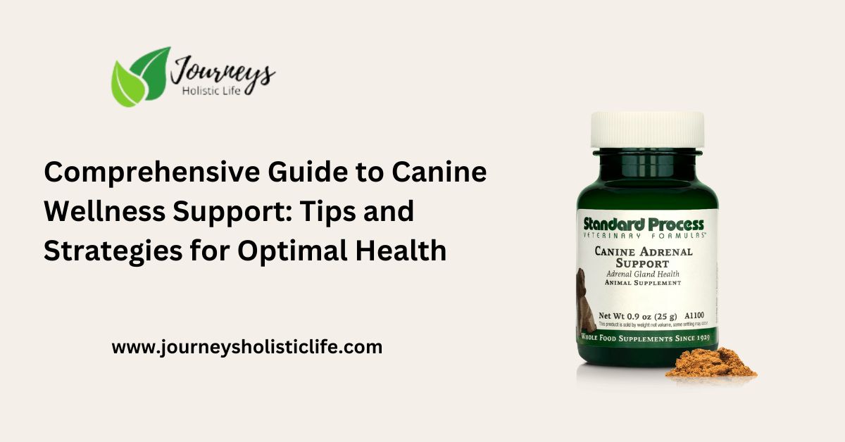Comprehensive Guide to Canine Wellness Support: Tips and Strategies for Optimal Health