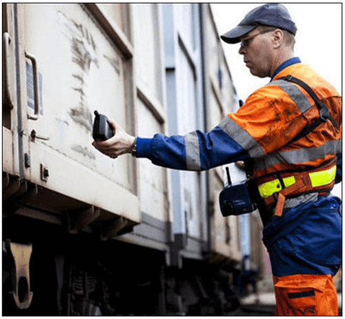 Globetrotting Paws: How International Pet Transport Services Work