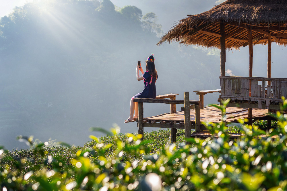 From Farm to Feast: Hands-on Homestay Experiences and Sustainable Travel