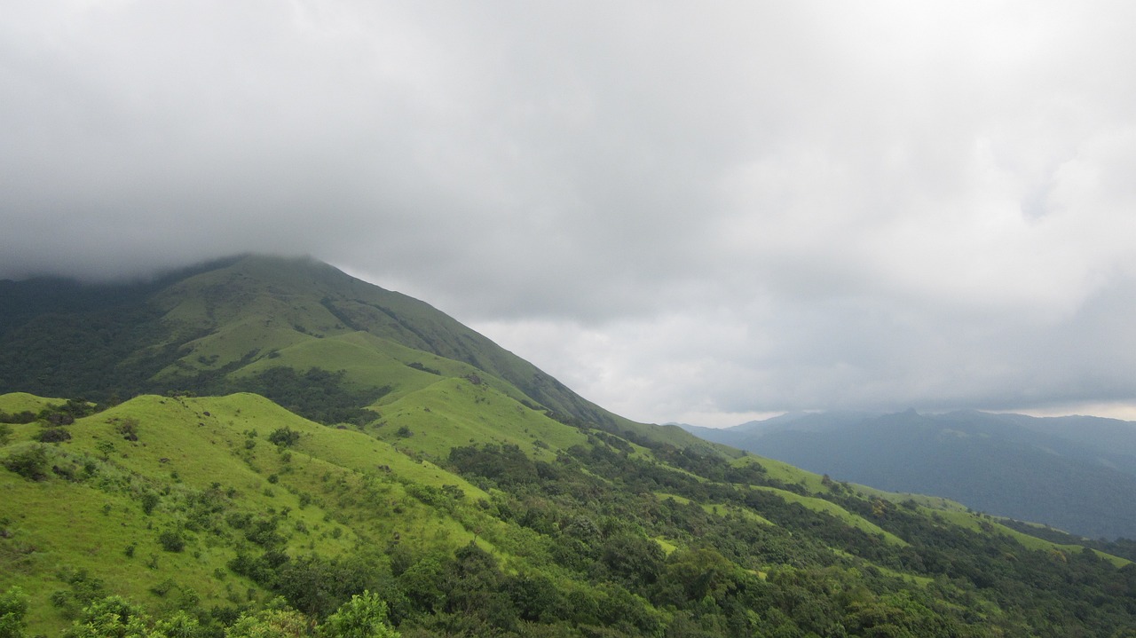 Silent Mornings & Storytelling Nights: Unveiling the Artistic Soul of a Creative Homestay