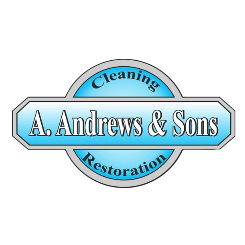 Navigating Water Damage Restoration with Local Experts