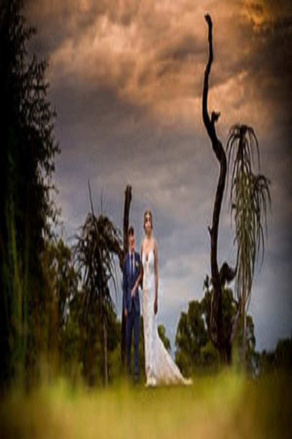 Unveiling the Artistry: Product and Studio Photography in Randburg
