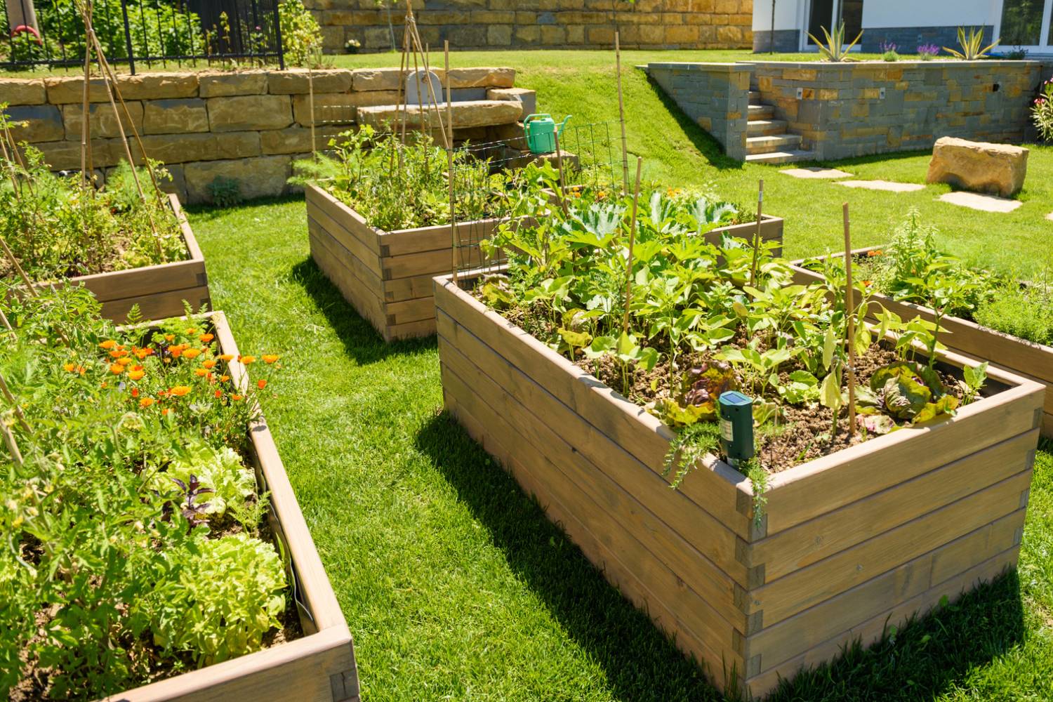 Enhance Your Garden with Treated Pine from Sydney's Top Supplier