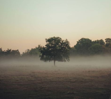 When Is a Property Classed as Abandoned Home in the UK?