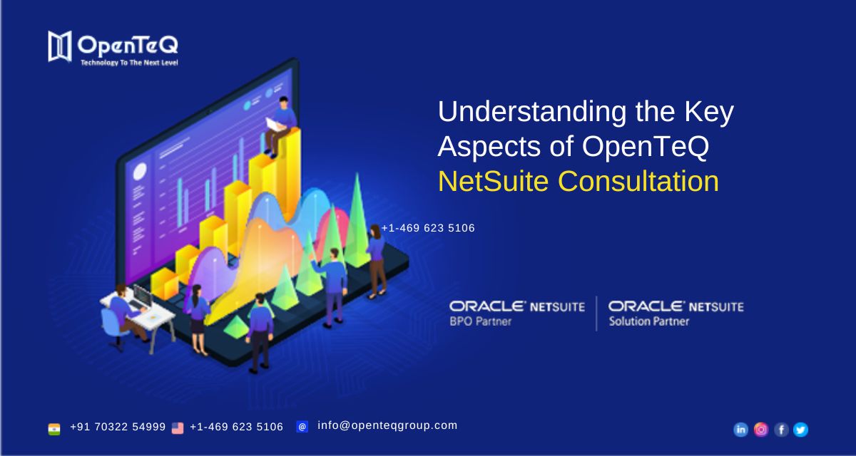 Understanding the Key Aspects of OpenTeQ NetSuite Consultation