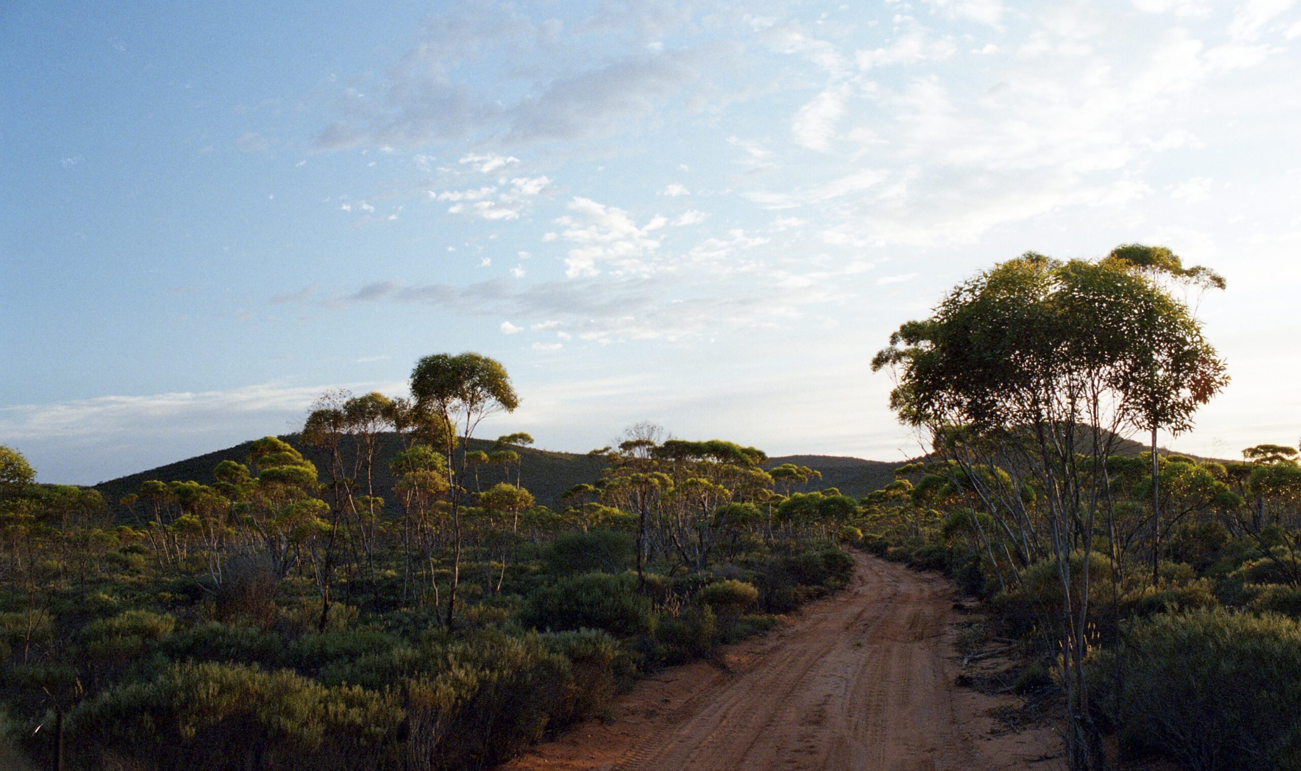 Seasonal Challenges for Fauna Spotter Catchers