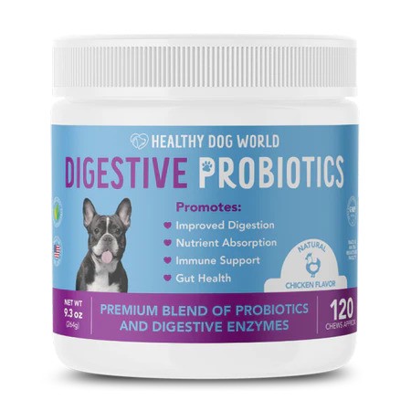 Why Are Probiotics A Good Allergy Treatment For Dogs?