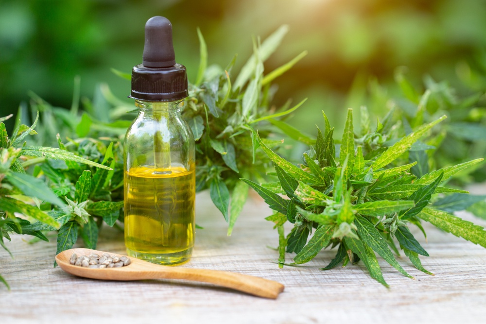 Exploring the Cannabis Extract Market: Unveiling Opportunities 