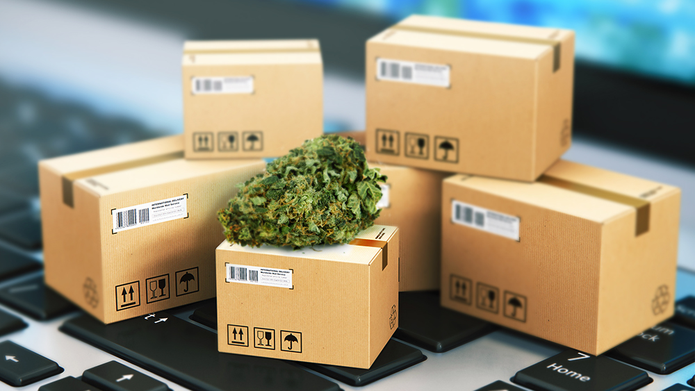 Comprehensive Analysis of the Booming Cannabis Packaging Market