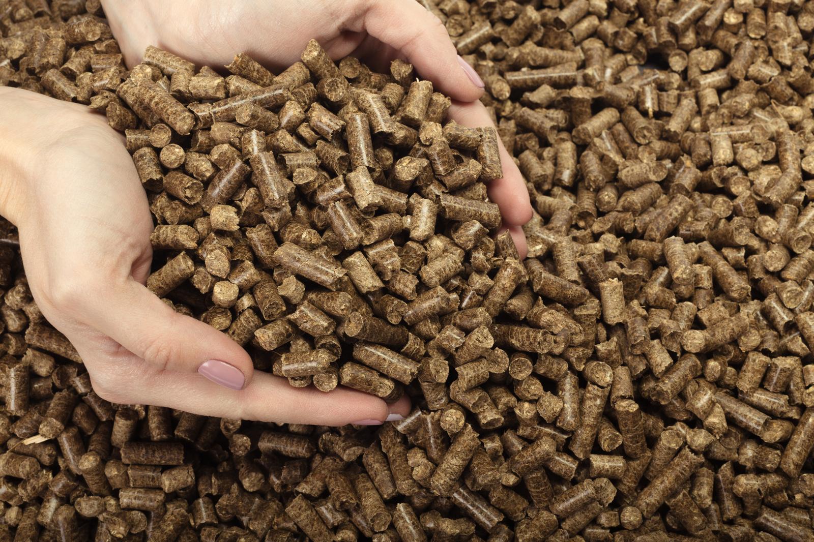 Exploring Biomass Solid Fuel: Eco-Friendly Heating and Power