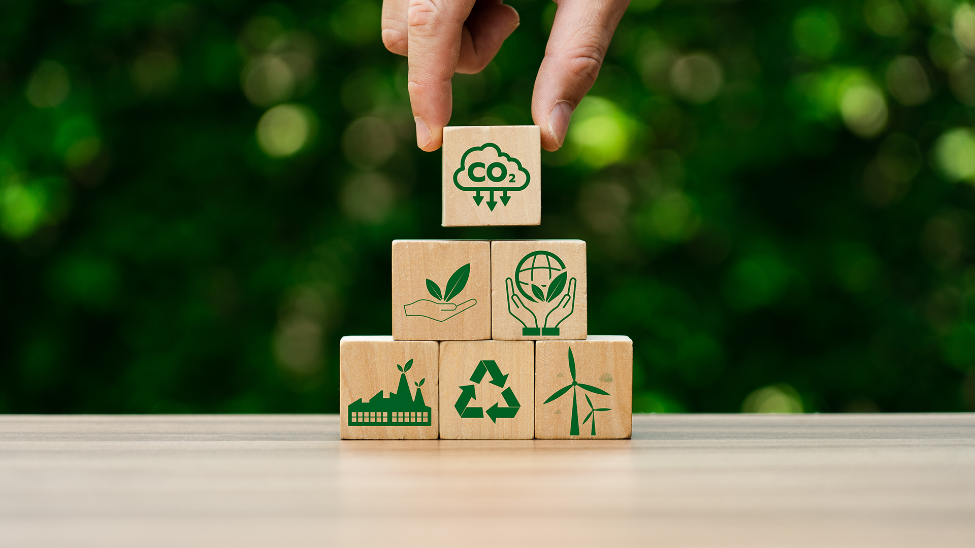 Carbon Verification Market: Unveiling Growth Opportunities