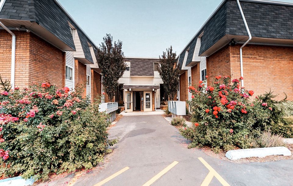 All The Tips for Improving Indoor Air Quality in Apartments