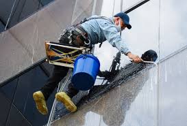 Local Window Cleaning Services