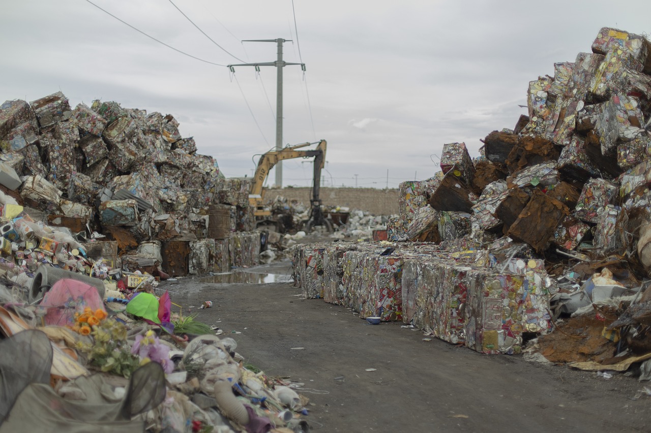 Innovative Solutions for Building Sustainability: RecycleMax's Waste Management Approach