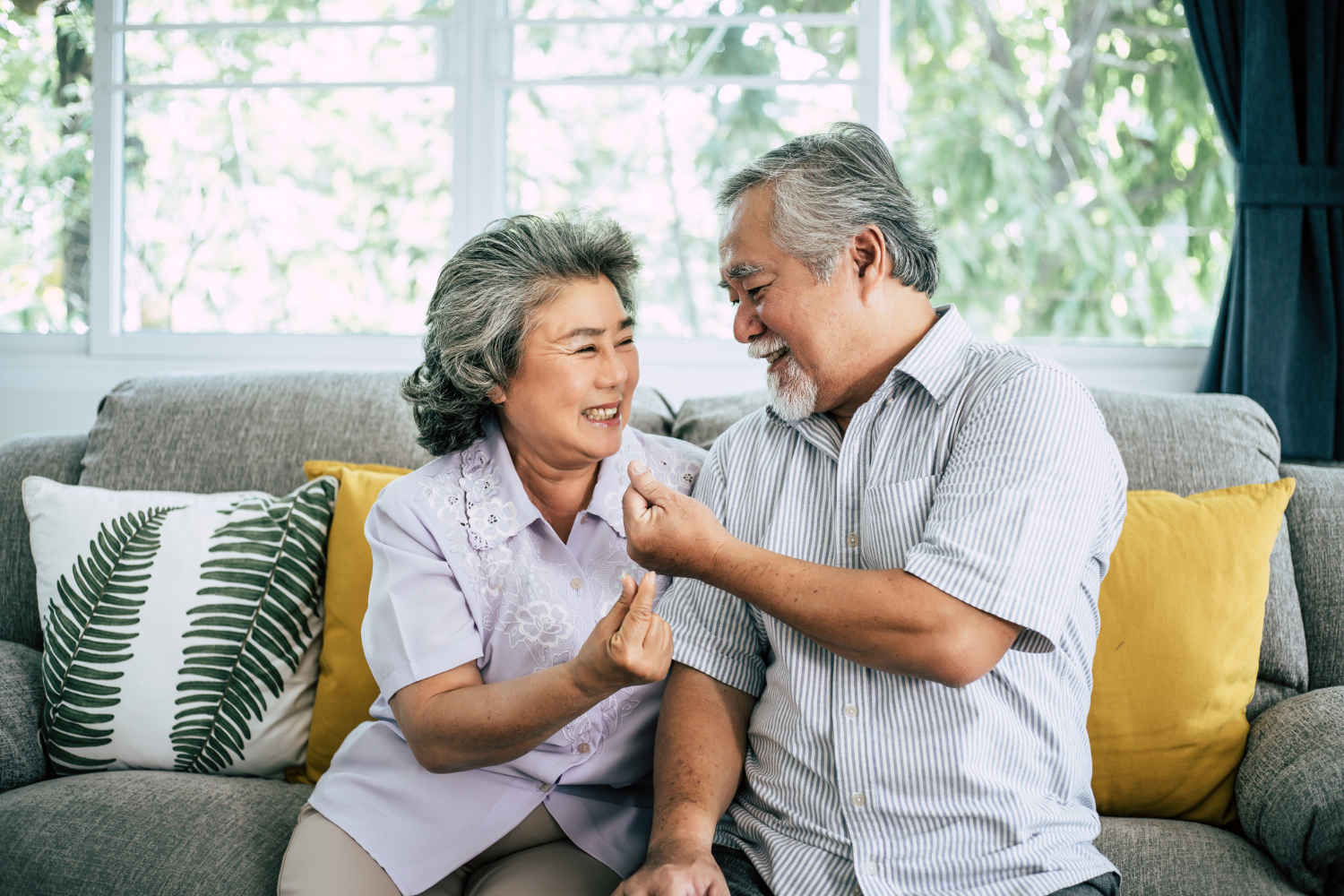 Thailand Affordable Home Lifts for Enhancing Accessibility and Comfort in Your Home.