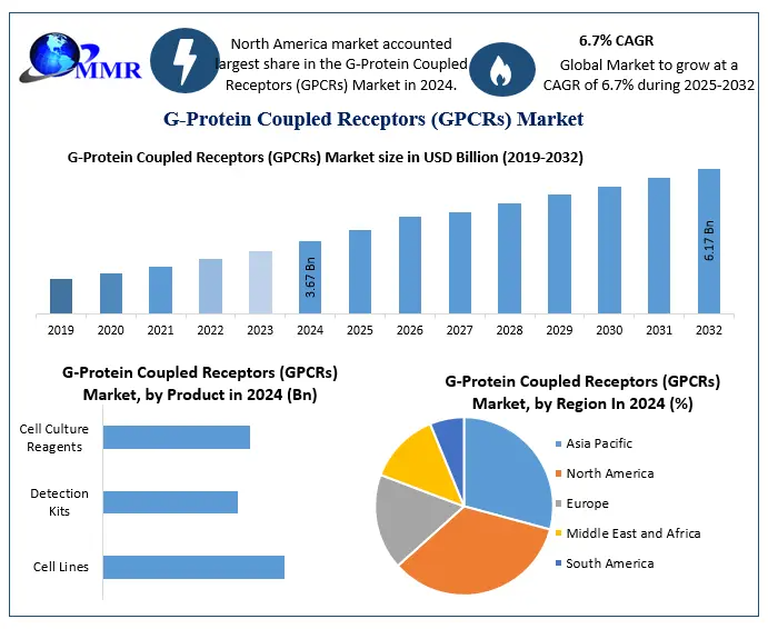 G-Protein Coupled Receptors Market Forecast 2025-2032: Growth at 6.7% CAGR