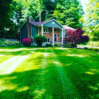 Big Question For Cleaning Lawn Care DIY or Professional Lawn Care Service