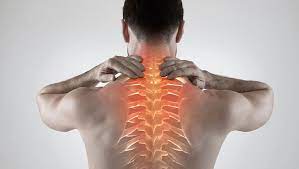 Tips for finding the best anatomy chiropractor in San Diego for your needs