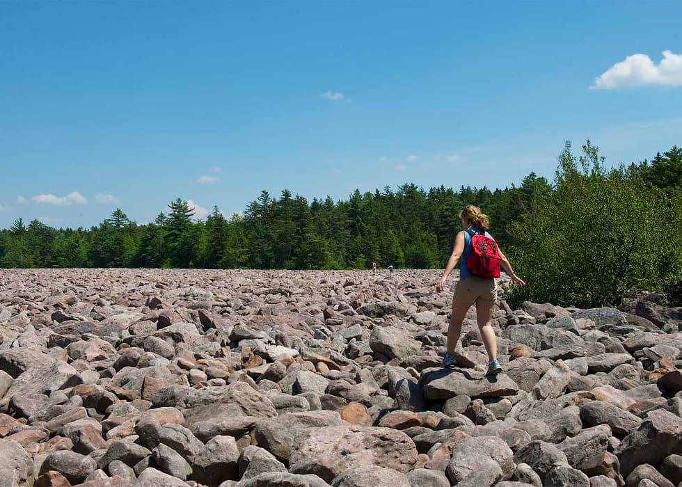 Exploring Nature's Playground: Unveiling the Hidden Gems of Hickory Run State Park in Pennsylvania
