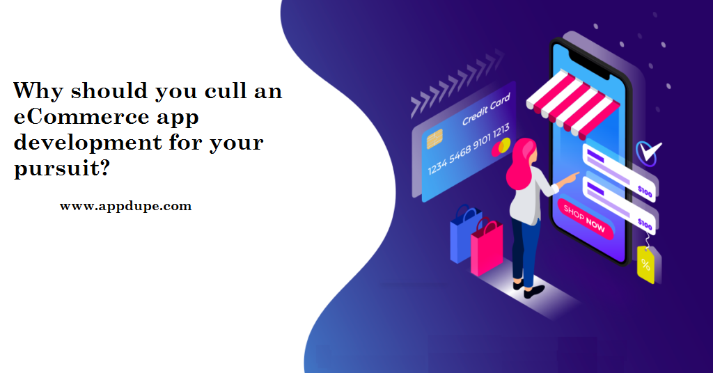 Why should you cull an eCommerce app development for your pursuit?