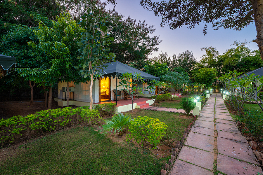 Top Tourist Attraction in Ranthambore