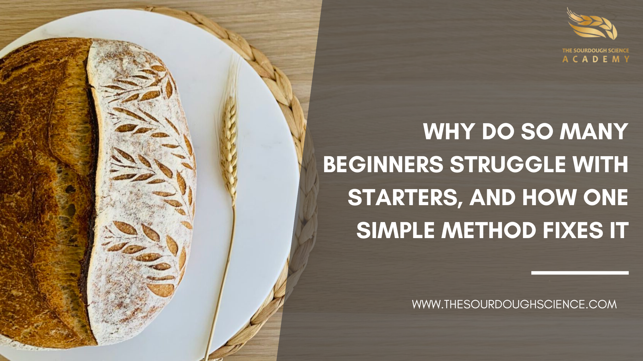 Why Do So Many Beginners Struggle With Starters, and How One Simple Method Fixes It