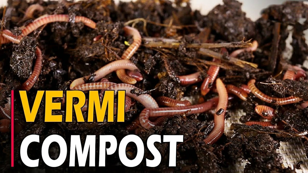 Vermicompost Market Size, Key Players Analysis And Forecast To 2032 | Value Market Research