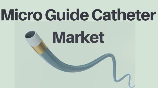 Micro Guide Catheters Market | Global Industry Trends, Segmentation, Business Opportunities & Forecast To 2032