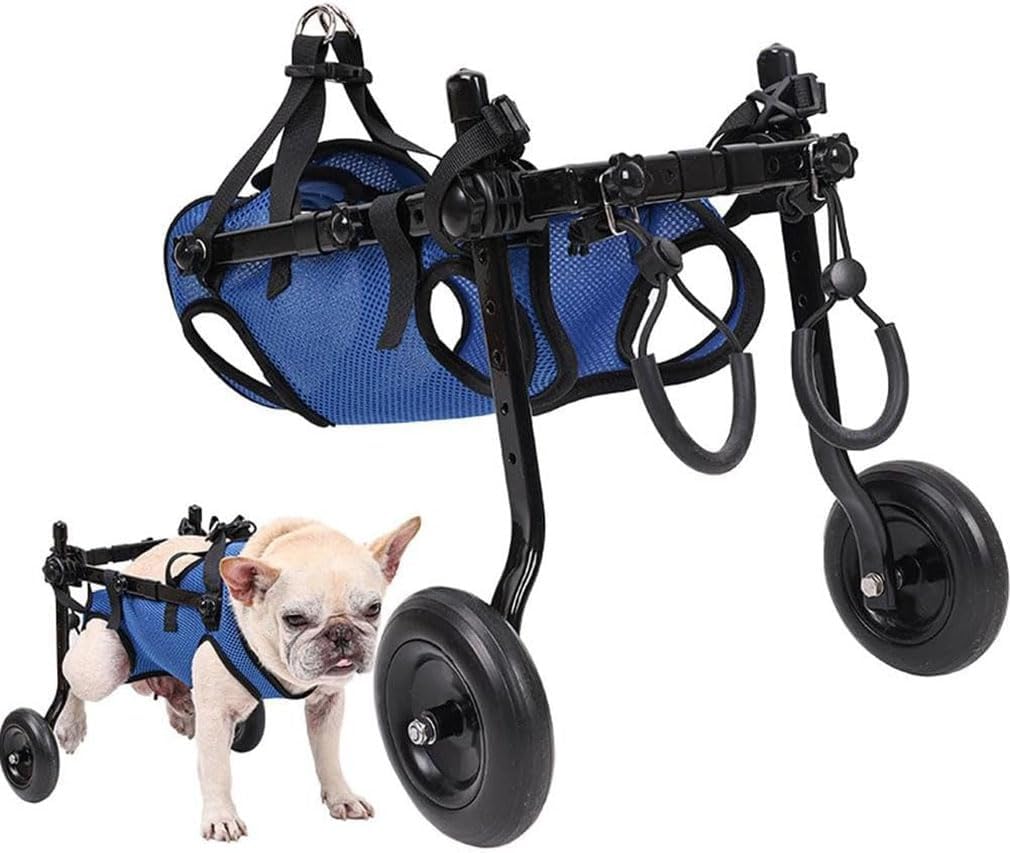 Pet Mobility Aids Market Size, Share, Growth, Opportunities and Global Forecast to 2032