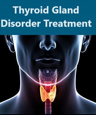 Thyroid Gland Disorder Treatment Market Size, Status, Growth | Industry Analysis Report 2023-2032