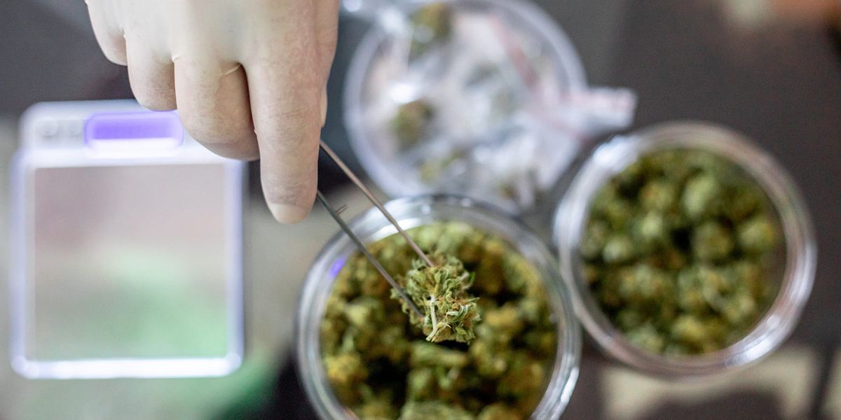 Chromatography-Based Cannabis Market Size, Status, Growth | Industry Analysis Report 2023-2032
