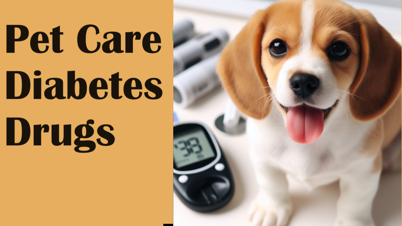 Pet Care Diabetes Drugs Market 2023 Size, Dynamics & Forecast Report to 2032