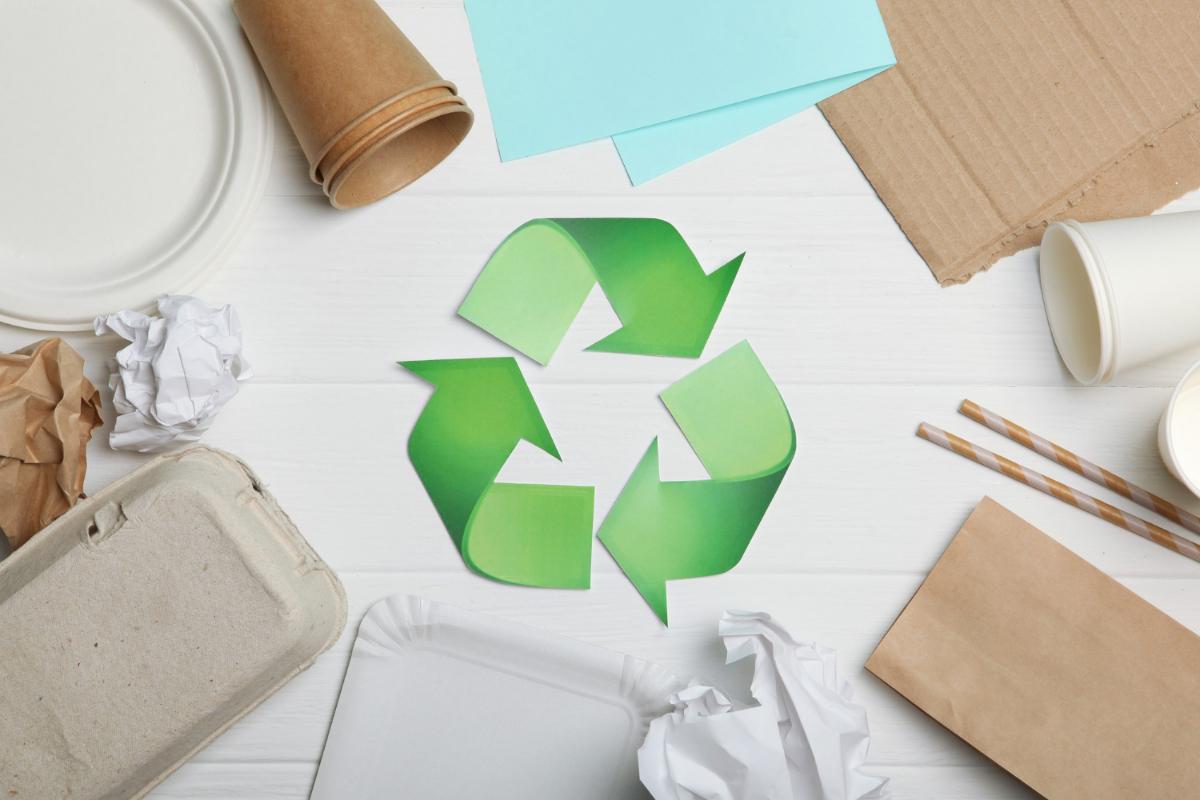 Sustainable Paper Market Size, In-depth Analysis Report and Global Forecast to 2032