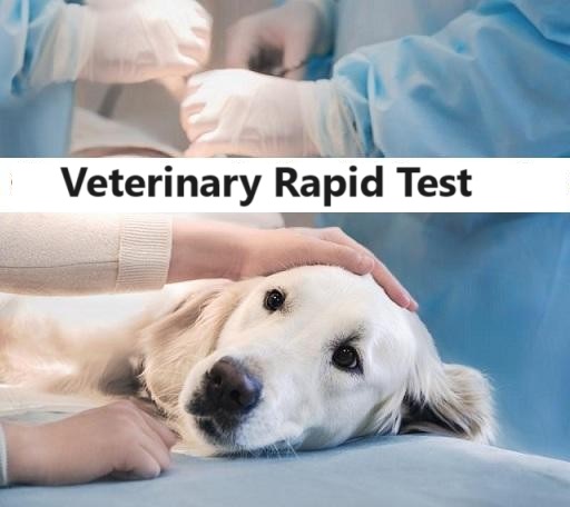Global Veterinary Rapid Test Market 2023 - Top Key Players Analysis Report Till 2032
