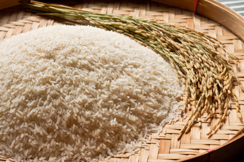 Leading Rice Exporters Delivering Quality and Excellence