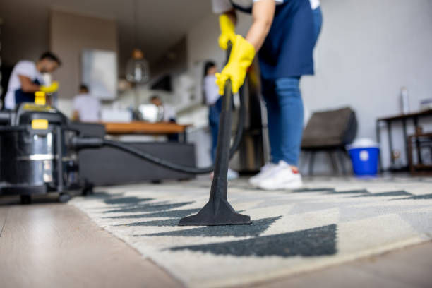 Professional House Cleaning Solutions with The Clean Up Guys for Seattle’s Rainy Climate