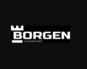 Maximizing Your Recruitment Process with Borgen Karriere