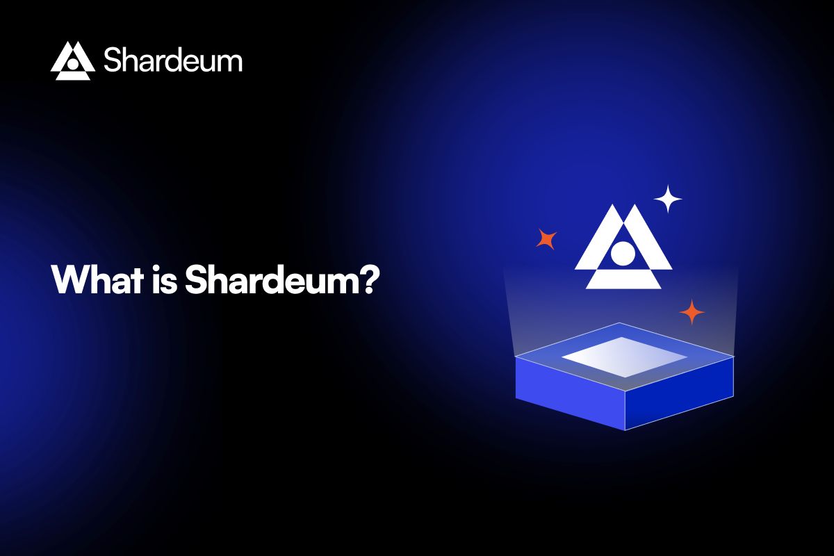 Exploring the technical aspects of deploying a Shardeum node for beginners